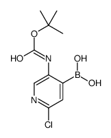 5-(叔丁氧基羰基氨基)-2-氯吡啶-4-基硼酸结构式