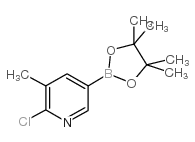 2-chloro-3-methylpyridine-5-boronic acid pinacol ester picture