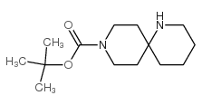 1,9-二氮杂螺[5.5]十一烷-9-甲酸叔丁酯图片