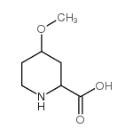 4-甲氧基哌啶-2-羧酸结构式