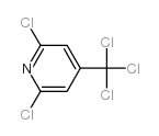 2,6-dichloro-4-(trichloromethyl)pyridine结构式