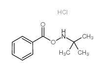O-Benzoyl-N-tert-butylhydroxylamine Hydrochloride Structure
