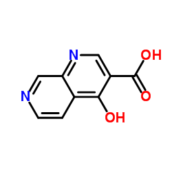 4-Hydroxy-1,7-naphthyridine-3-carboxylic acid结构式
