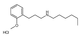 hexyl-[3-(2-methoxyphenyl)propyl]azanium,chloride Structure