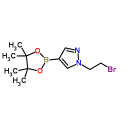 1-(2-溴乙基)-4-(四甲基-1,3,2-二氧硼烷-2-基)-1H-吡唑结构式