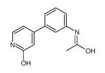 N-[3-(2-oxo-1H-pyridin-4-yl)phenyl]acetamide结构式