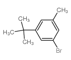 1-溴-3-叔丁基-5-甲基苯结构式