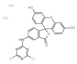 5-([4,6-二氯三嗪-2-基]氨基)荧光素 盐酸盐结构式