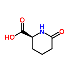 (S)-2-哌啶酮-6-羧基 酸结构式