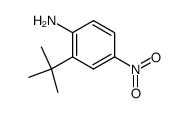 2-tert-butyl-4-nitroaniline Structure