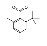 1-tert-butyl-3,5-dimethyl-2-nitrobenzene结构式