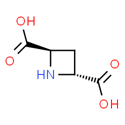 azetidine-2,4-dicarboxylic acid结构式