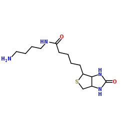 Biotin-C4-amide-C5-NH2结构式