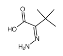 2-hydrazono-3,3-dimethylbutanoic acid Structure