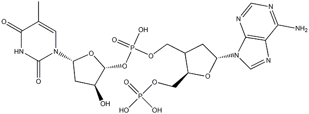 Poly dA-dT结构式