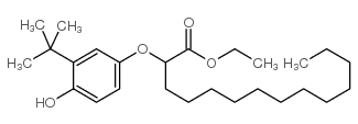 ethyl 2-(m-tert-butyl-p-hydroxyphenoxy)tetradecanoate Structure
