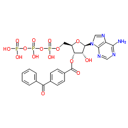 3'-O-(4-benzoyl)benzoyladenosine 5'-triphosphate结构式