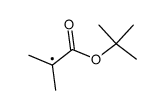 2-(tert-butoxy)-1,1-dimethyl-2-oxoethyl Structure