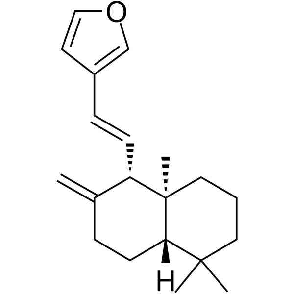 二羟丙茶碱E结构式