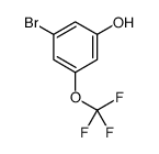 3-溴-5-(三氟甲氧基)苯酚结构式