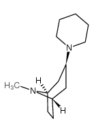 exo-3-(1-piperdinyl)tropane Structure