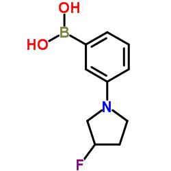 [3-(3-Fluoro-1-pyrrolidinyl)phenyl]boronic acid Structure