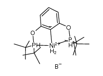 (tBuPOCOP)Ni(η2-BH4) Structure