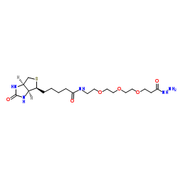 Biotin-PEG3-propionic hydrazide结构式