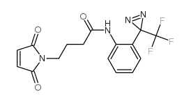 2,5-二氢-2,5-二氧代-N-[3-[3-(三氟甲基)-3H-双吖丙啶-3-基]苯基]-1H-吡咯-1-丁酰胺结构式