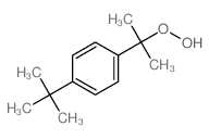 1-(2-hydroperoxypropan-2-yl)-4-tert-butyl-benzene Structure