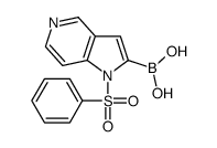 1-(苯基磺酰基)-1H-吡咯并[3,2-c]吡啶-2-硼酸结构式
