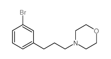 4-(3-(3-溴苯基)丙基)吗啉结构式