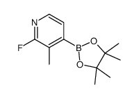 2-Fluoro-3-methylpyridine-4-boronic acid pinacol ester picture