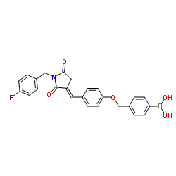 Boronic acid, B-[4-[[4-[(E)-[1-[(4-fluorophenyl)Methyl]-2,5-dioxo-3-pyrrolidinylidene]Methyl]phenoxy]Methyl]phenyl]- Structure