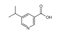 5-异丙基吡啶-3-羧酸结构式