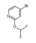 4-溴-2-二氟甲氧基吡啶结构式