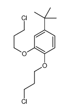 4-tert-butyl-1,2-bis(3-chloropropoxy)benzene Structure