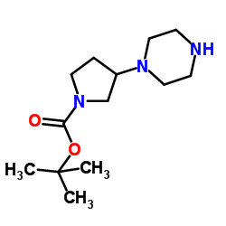 (S)-3-(哌嗪-1-基)吡咯烷-1-甲酸叔丁酯图片