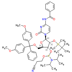 Bz-rC 亚磷酰胺单体结构式