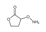 3-(氨基氧基)二氢呋喃-2(3H)-酮结构式