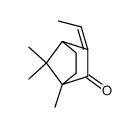 3-ethylidene-1,7,7-trimethyl-norbornan-2-one Structure