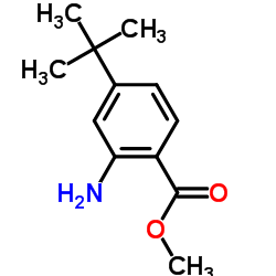 Benzoic acid, 2-amino-4-(1,1-dimethylethyl)-, methyl ester (9CI) structure