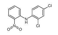 2,4-dichloro-N-(2-nitrophenyl)aniline结构式