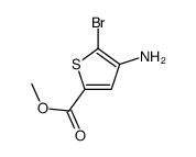 4-氨基-5-溴噻吩-2-羧酸甲酯结构式