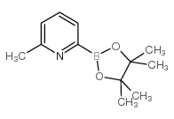 2-甲基-6-(4,4,5,5-四甲基-1,3,2-二噁硼烷-2-基)吡啶结构式