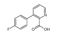 3-(4-氟苯基)吡啶甲酸结构式