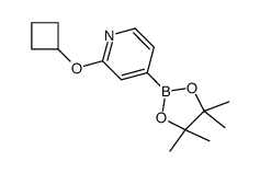 2-(Cyclobutoxy)pyridine-4-boronic acid pinacol ester Structure