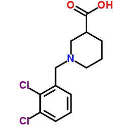 1-(2,3-dichlorobenzyl)piperidine-3-carboxylic acid Structure