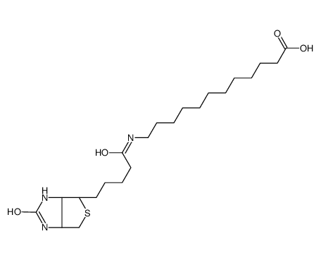 12:0 N-Biotinyl Fatty Acid Structure