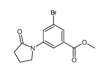 3-溴-5-(2-氧代吡咯烷-1-基)苯甲酸甲酯结构式